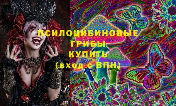 крисы Балахна