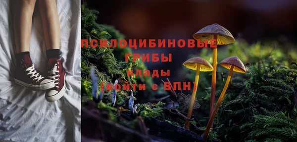 стафф Баксан