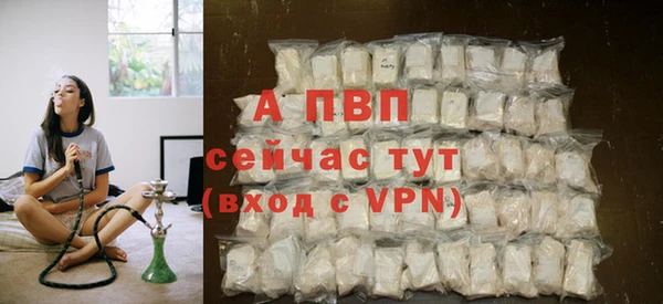 крисы Балахна