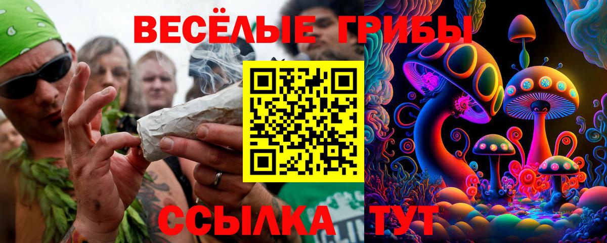 Псилоцибиновые грибы прущие грибы Ульяновск